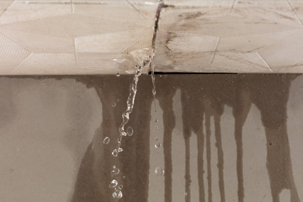 Professional Structural Drying technician working in Boston, VA